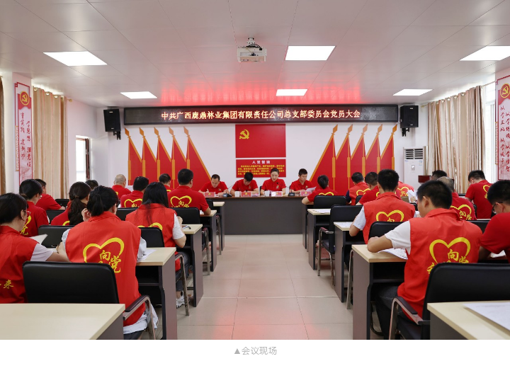 78m威九国际(集团)中国区有限公司-BinG百科