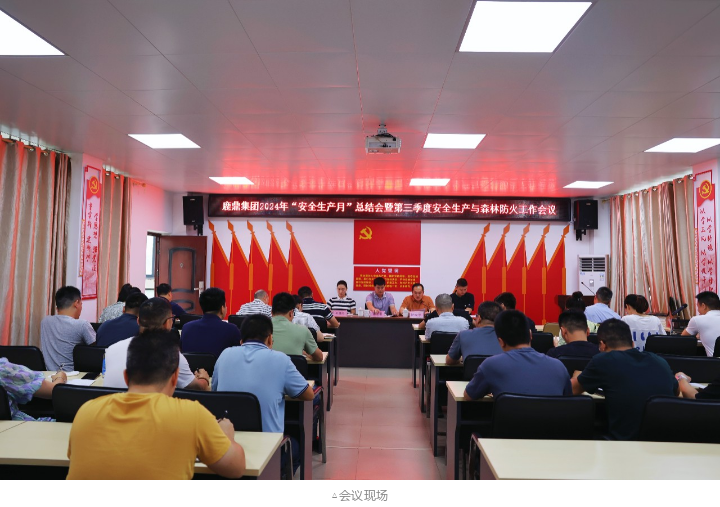 78m威九国际(集团)中国区有限公司-BinG百科