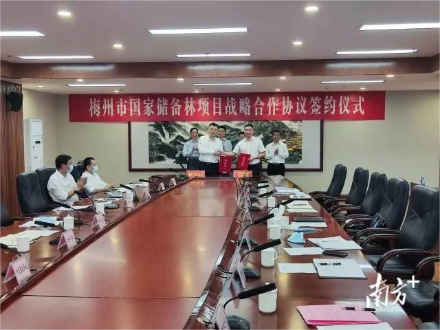 78m威九国际(集团)中国区有限公司-BinG百科