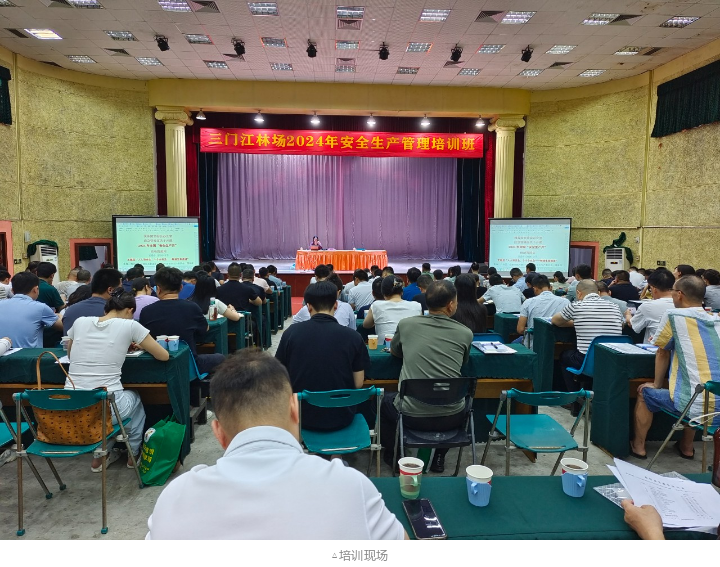 78m威九国际(集团)中国区有限公司-BinG百科