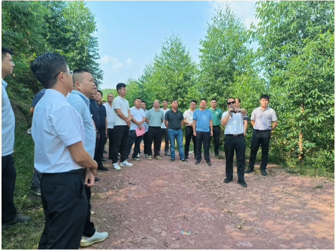 韦宏一行到大桂山林场调查进建