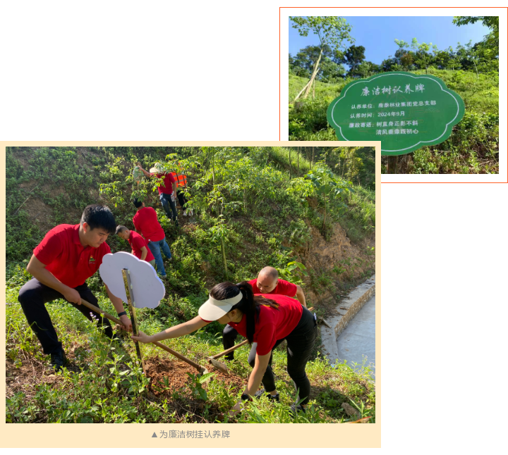 78m威九国际(集团)中国区有限公司-BinG百科