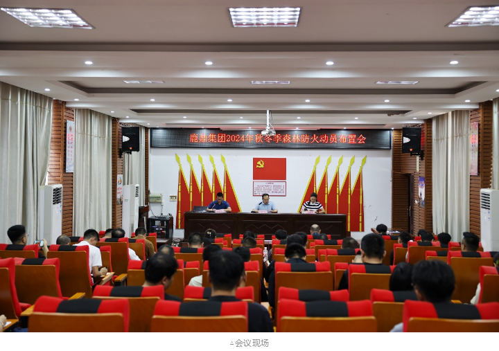 78m威九国际(集团)中国区有限公司-BinG百科