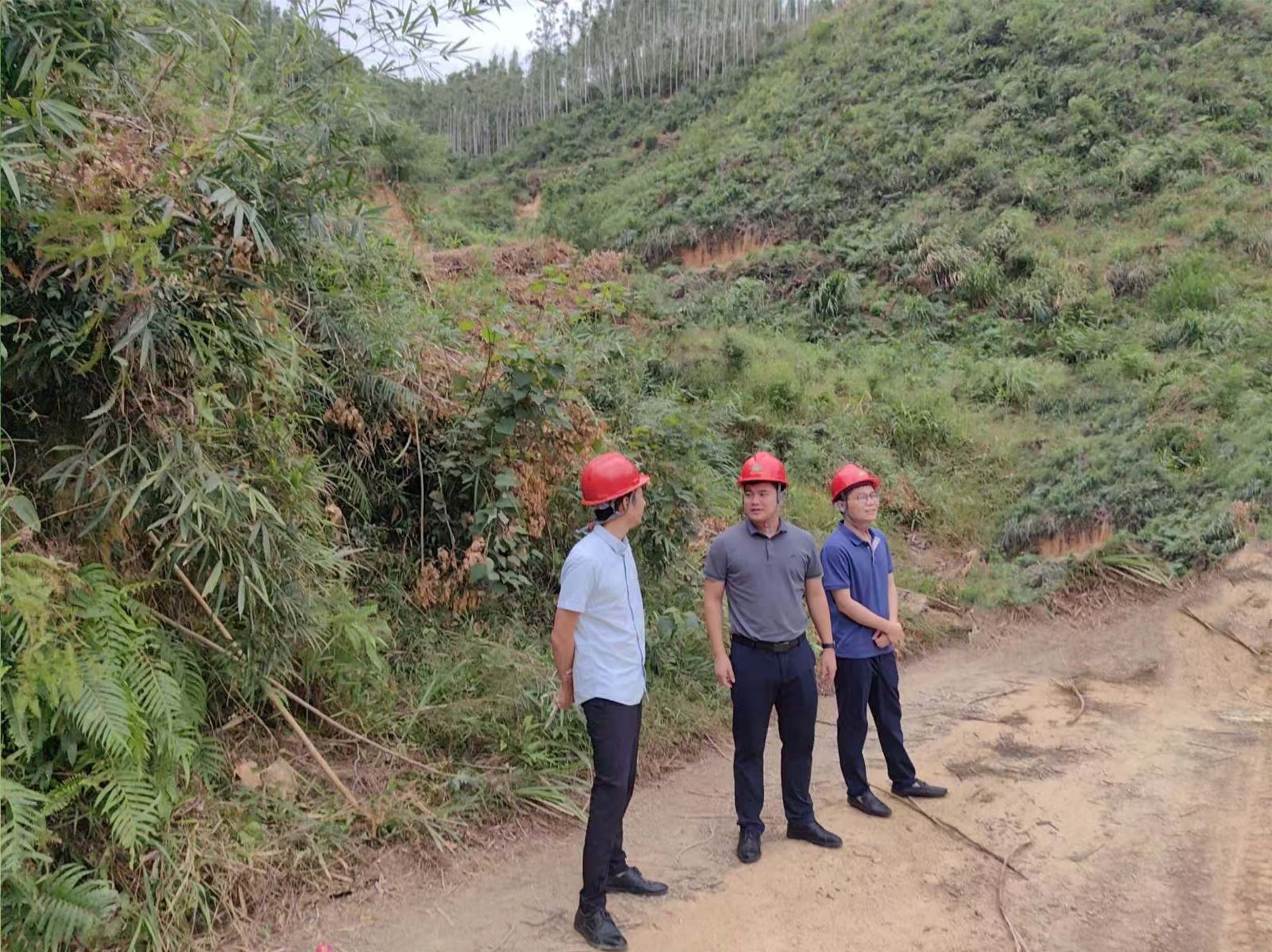 78m威九国际(集团)中国区有限公司-BinG百科