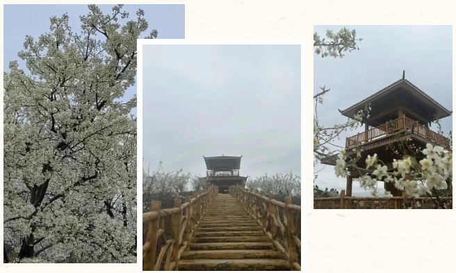 78m威九国际(集团)中国区有限公司-BinG百科