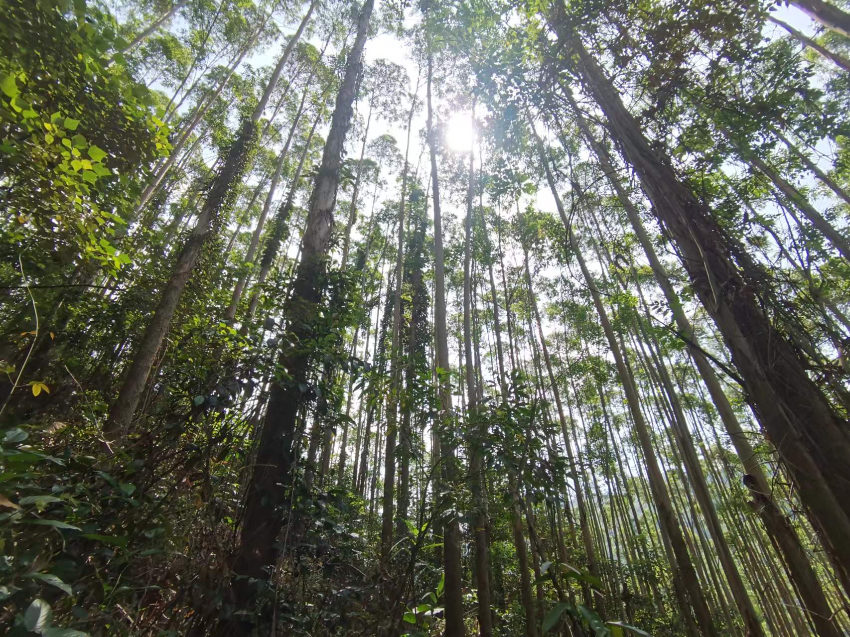 78m威九国际(集团)中国区有限公司-BinG百科