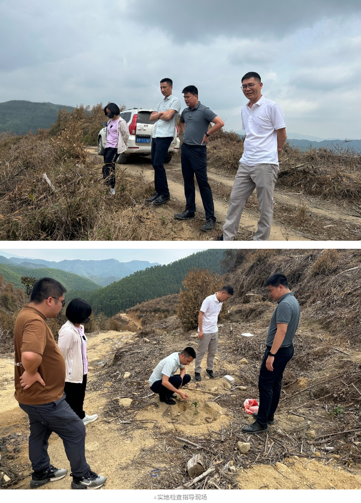 78m威九国际(集团)中国区有限公司-BinG百科