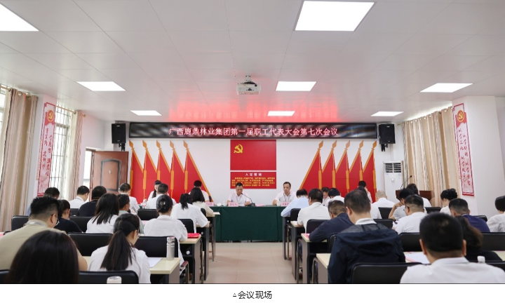 78m威九国际(集团)中国区有限公司-BinG百科