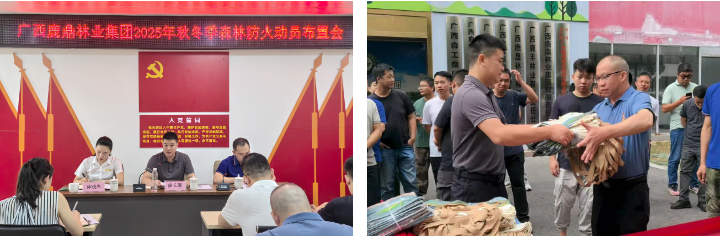 78m威九国际(集团)中国区有限公司-BinG百科