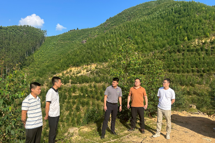 78m威九国际(集团)中国区有限公司-BinG百科