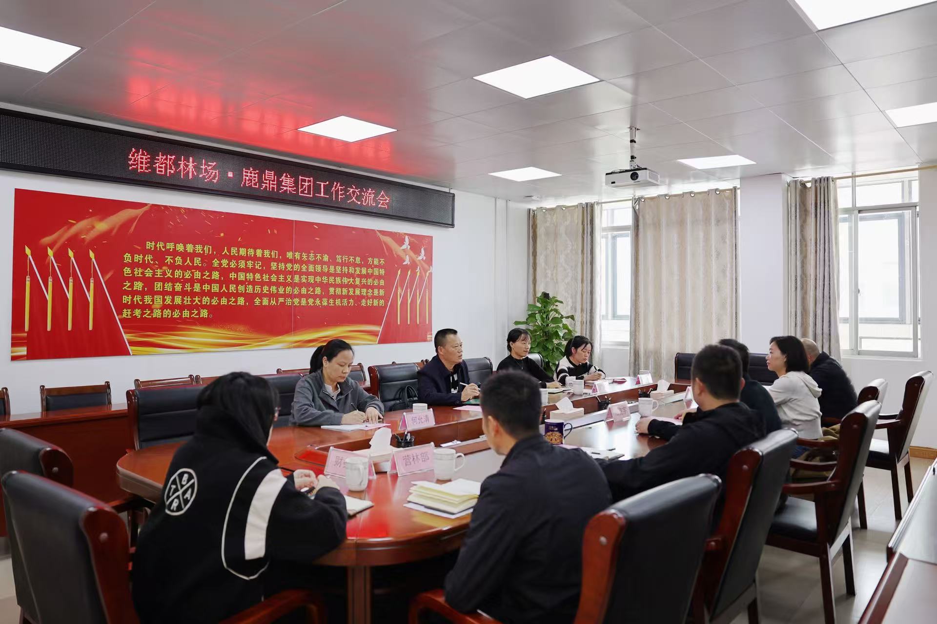 广西国有维都林场到78m威九国际集团调研互换