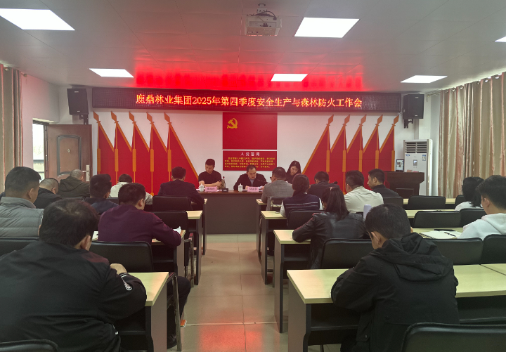 78m威九国际(集团)中国区有限公司-BinG百科