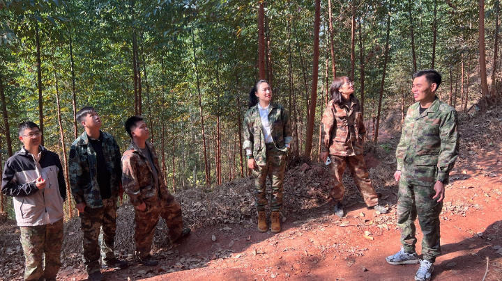 78m威九国际(集团)中国区有限公司-BinG百科