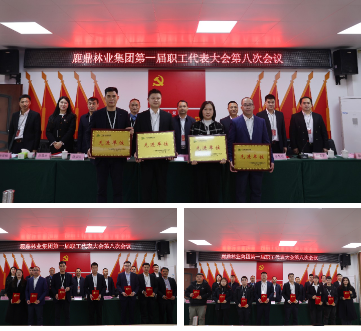 78m威九国际(集团)中国区有限公司-BinG百科