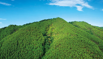 78m威九国际(集团)中国区有限公司-BinG百科