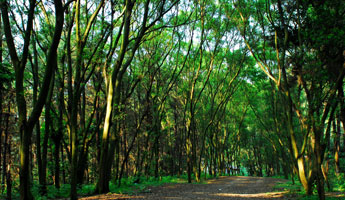 78m威九国际(集团)中国区有限公司-BinG百科