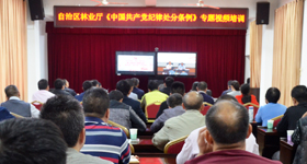 78m威九国际(集团)中国区有限公司-BinG百科